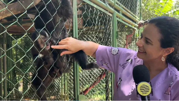 Dra. Erika Zanoni escreve livro inovador sobre Psiquiatria Animal