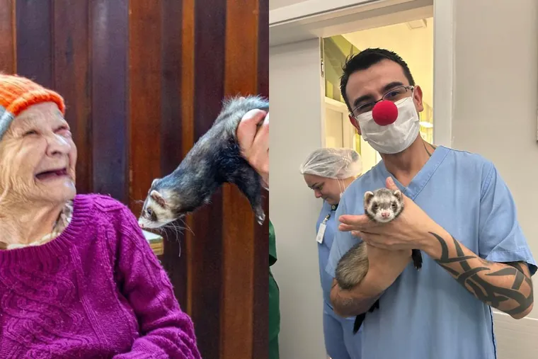 Mascotes da Alegria celebra 16 anos de atuação em Ponta Grossa