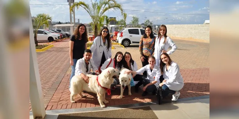 Projeto Mascotes da Alegria celebra 15 anos com inauguração do Jardim do Mel